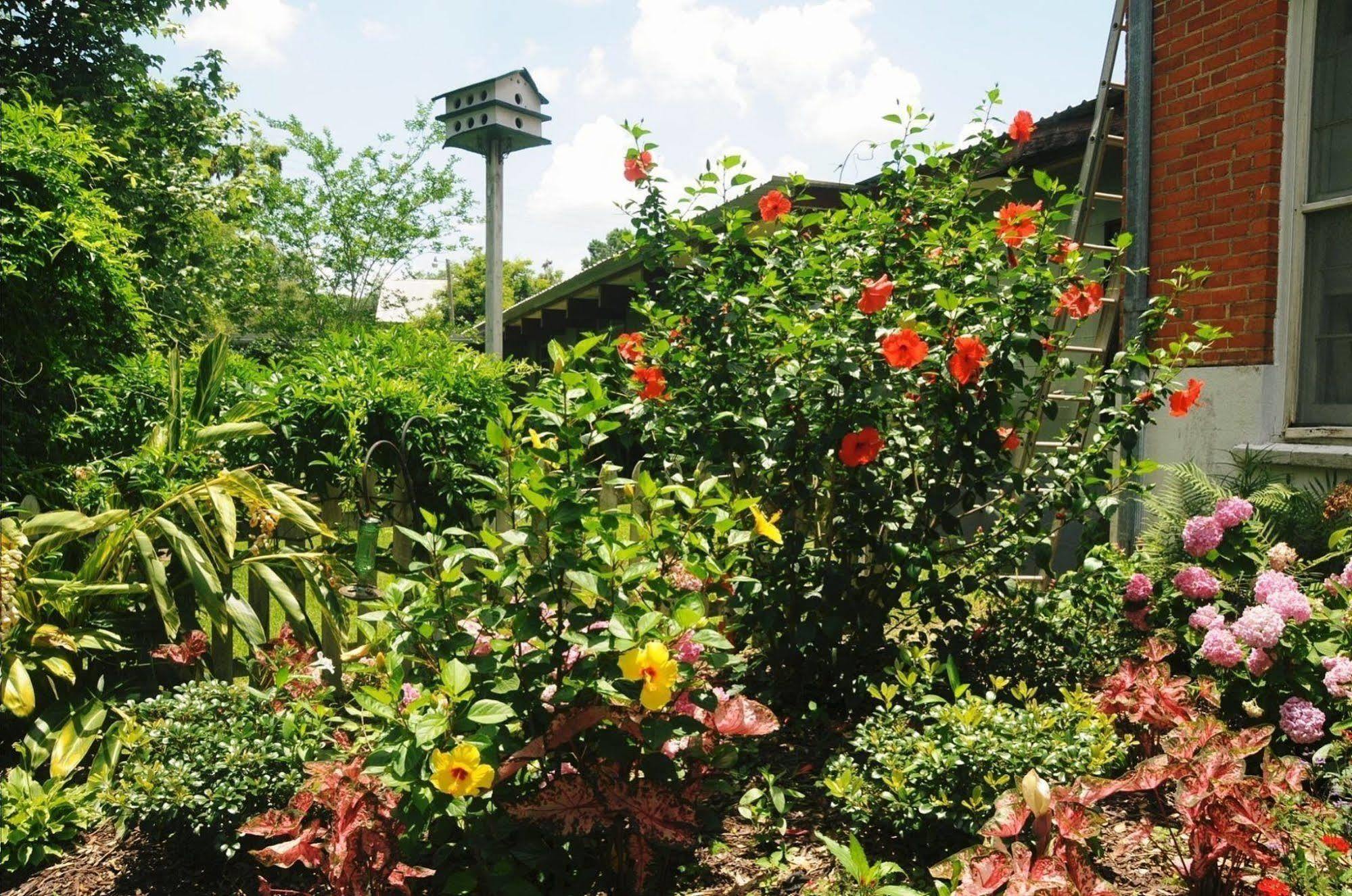 Old Castillo Bed And Breakfast Saint Martinville Exterior foto